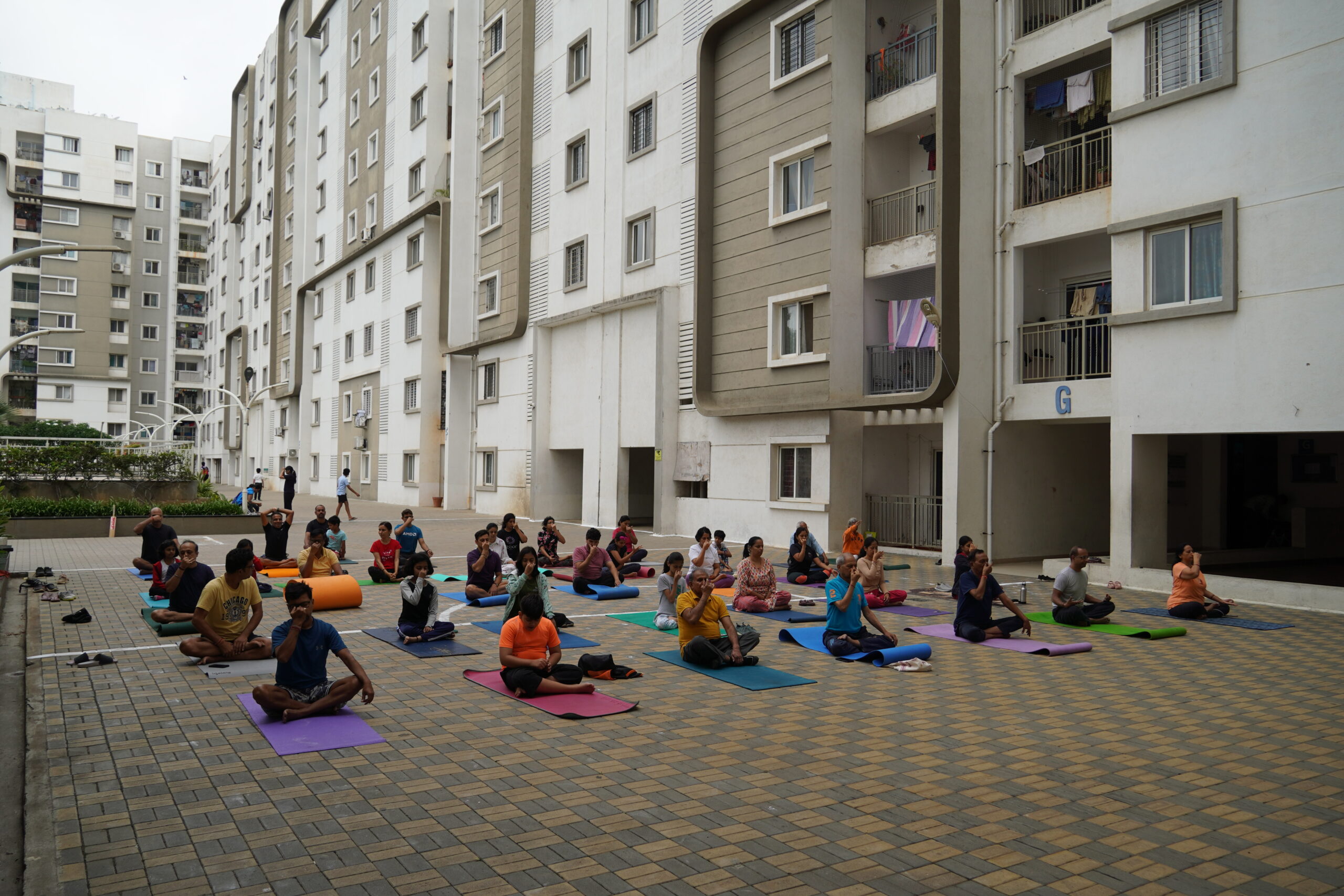 Group Yoga Session